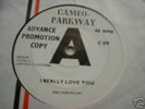 DEE DEE SHARP. I Really Love You.(Promo). Ex+Con RAR