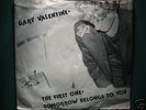 GARY VALENTINE