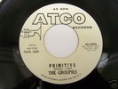 Rare Garage 45 The Groupies on Atco Hear It