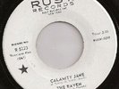 LISTEN - THE RAVEN - CALAMITY JANE - FLORIDA MOD GARAGE