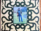RICK HAYWARD MINT ORIG BLUE HORIZON FOLK PSYCH LP 