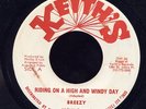 Breezy Riding High On a High and Windy Day US 45 Listen