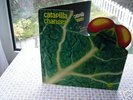 CATAPILLA CHANGES GIMMIX SWIRL 1972 MINT