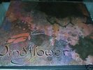 (FOLK PROG/PSYCH) WINDFLOWER  '75 US PRIVATE  SS