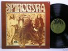 SPIROGYRA 