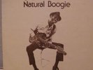HOUND DOG TAYLOR AND THE HOUSE ROCKERS  RARE1974 BLUES