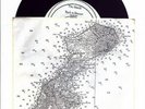 Maids Back to Bataan/I Do I Do Anemic 45 KBD Berk Punk
