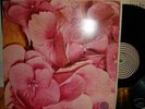*STILL LIFE* CLASSIC LP. VERTIGO SWIRL LABEL-