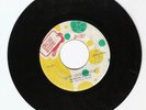 IRON SIDE/NEW CIVILIZATION - THE BURNING SPEAR [ROOTS]