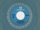 Velvet Night Metromedia MMS-110 Rare NY Psych 45