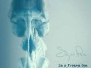 Sigur Ros - In A Frozen Sea: A Year with  - 7LP ltd Box