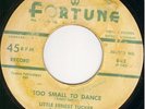 Rockabilly Blues 45 - LITTLE ERNEST TUCKER   HEAR