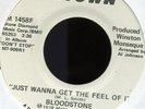 bloodstone.just wanna get the feel.motown wdj crossover