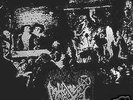 Necrophile Abhorer Split LP sarcofago Impiety Sabbat