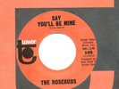 NORTHERN SOUL-*ROSEBUDS*-SAY YOU'LL BE MINE-TOWER-MINT