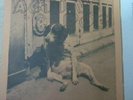 ACTIVE DOG 45 RARE PUNK KBD POINTED STICKS MODERNETTES