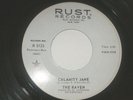 THE RAVEN-CALAMITY JANE, RUST, DJ WL PROMO, PUNK