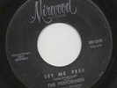 NORTHERN SOUL- The Performers - Set Me Free - HEAR
