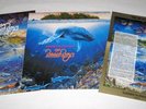 Beach Boys Summer In Paradise Package 1992