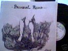 DAVID CHALMERS Primeval Road RARE psych guitar MINT