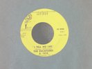 RARE Garage 45-Escapades-I Tell No Lies-Arbet