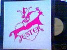 JESTER s/t RARE LP private prog MINT