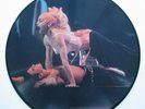 MADONNA BLOND AMBITION INTERVIEW PICTURE DISC 12