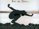 INTO THE WILD Eddie Vedder Vinyl Record Limited Edition