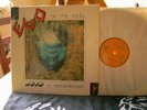Ego on the Rocks  Acid in wounderland  Jupiter 1981