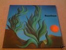 RONTHEO  RARE GERMAN PRIVATE PSYCH FOLK ORIG LP M-