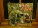 SAVOY BROWN LOOKING IN 1ST UK PRESS AWESOME MiNt 