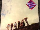 Lynyrd Skynyrd-Nuthin' Fancy-Orig. '75  LP-SEALED