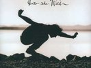 INTO THE WILD Eddie Vedder Ltd. Ed. Vinyl Pearl Jam