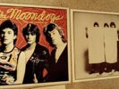 MOONDOGS LP Powerpop KBD punk GERMAN ORIG. RARE Sire M