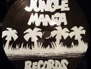 DJ Business - Reggae Lick/Ring A Ling (Jungle Mania) 