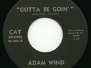 Adam Wind on CAT - usa 60's Psych fuzz LSD 45 - Listen