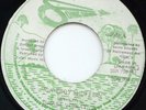 Israel Vibration- Rudeboy Shufflin 45 JA reggae dub