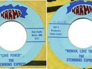 Stemmons Express Love Power/Woman, Love Thief