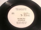 LED ZEPPELIN-GALLOWS POLE, ATLANTIC, DJ WLP,MONO/STEREO