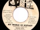 Northern Soul Reggie Soul CAPRI
