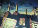 PINK FLOYD - Animals LP SIGNED  + COA