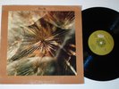 marcus allen SEEDS rare private mellow new age vibes EX