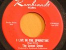 1967 Garage 45 LEMON DROPS Live In Springtime RENBRANDT