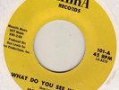 RARE SISTER FUNK 45 INELL YOUNG WHAT DO YOU SEE IN HER