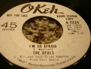 NORTHERN SOUL 45/ THE OPALS 