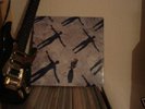 Muse - Absolution              rare Double-Vinyl LP