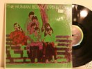 Human Beinz-Evolutions US psych mint in shrink