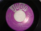 TOMMY ROE & SATINS-SHELIA-RARE ORIG JUDD DIF VER 1960 M