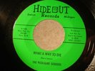 THE PLEASURE SEEKERS rare garage psych punk 45 HIDEOUT