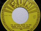 BROTHER JAMES ANDERSON 45 on SUN 406  -  M-